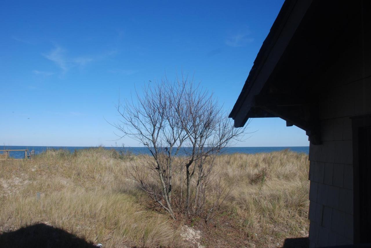 Rustic Rooftop Delight - Bay Front Apts Norfolk Exteriör bild